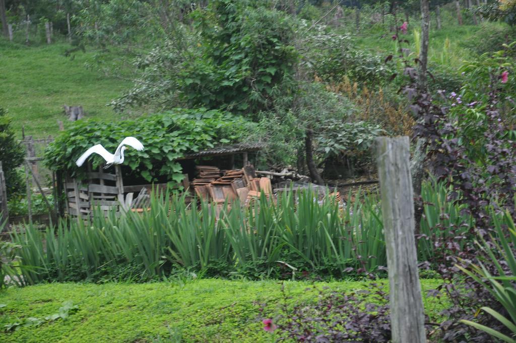 Inn Eco Eldorado 4*